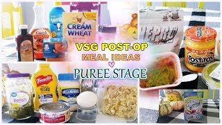 WHAT I EAT AFTER VSG 18 DAYS POSTOP  PUREE STAGE [upl. by Eissed]