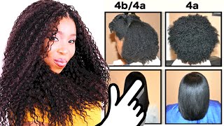 Natural Hair Types EXPLAINED In Detail w PICTURES 4C 4B amp 4A HAIR CHART [upl. by Bakerman434]