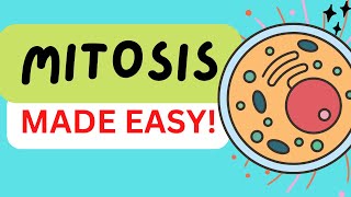 MITOSIS CELL DIVISION IN 3 MINUTES  STAGES PROPHASE PROMETAPHASE METAPHASE ANAPHASE TELOPHASE [upl. by Llezom238]