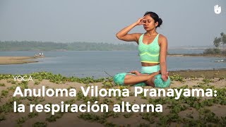 Anuloma Viloma Pranayama la respiración alterna  Yoga [upl. by Eugor59]