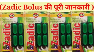 Zadic bolus की पूरी जानकारी पशुओ मे लंगड़ाहट और colic pain की जबरजस्त दवा [upl. by Tinor854]