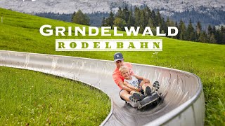 Grindelwald Rodelbahn  Toboggan ride  Switzerland 4K 60fps video [upl. by Anidualc]