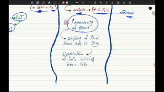 Antidiabetic Drugs P3 quotNotesquot [upl. by Astto]