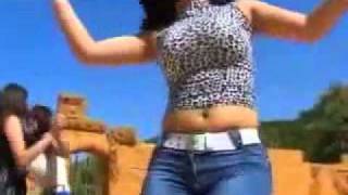 Raqsi arab Arabic Dance Plan B 2010 shazi raqs رقص جديد [upl. by Heather]