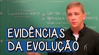 DARWINISMO CRIACIONISMO E LAMARCKISMO  EVIDÊNCIAS DA EVOLUÇÃO [upl. by Kalb]