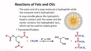 Fats Oils amp Fatty Acids │ Carboxylic Acids amp Derivatives │ Organic Chemistry [upl. by Brian615]