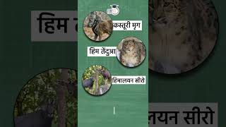 Dachigam National Park  Hangul  Map in Short  Amrit Upadhyay  UPSC 2024  StudyIQ IAS हिंदी [upl. by Nicholle188]