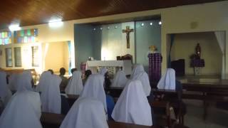 Postulants entering Noviciate part 1 or 2 [upl. by Camm]