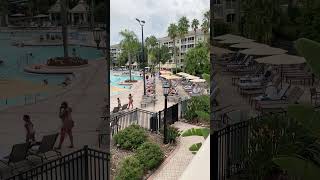 Sheraton Vistana Villagesshorts orlando resort [upl. by Htabmas]