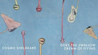 Cosmo Sheldrake  Does the Swallow Dream of Flying [upl. by Selin]