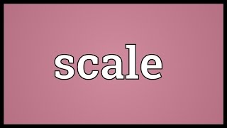 Scale Meaning [upl. by Earezed]