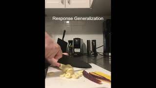 Stimulus Generalization and Response Generalization Video Examples 2 [upl. by Jessamyn]