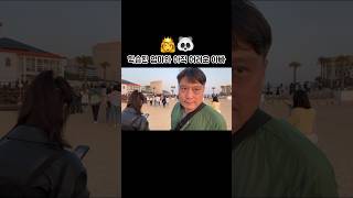 부모님과의 여행 필수 금지어‼️ 가족여행 fukuoka 엄빠 사랑해 vlog 막내딸 금지어 [upl. by Gad]