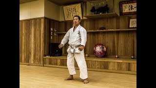 Why so many all Japan selected Karate atheletes have appeared from Shoto Federation [upl. by Munniks415]