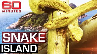 The deadliest place on earth Snake Island  60 Minutes Australia [upl. by Idnahr314]