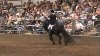 Friesian Stallion Frederik the Great Spectacular Dressage Performance [upl. by Joel]