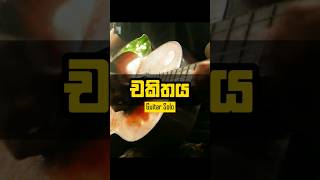 Chakithaya  චකිතය  Guitar Solo trending guitarsolo slmusic chakithaya fypシ [upl. by Ebba110]