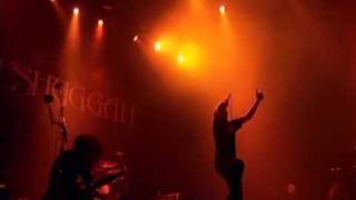 Meshuggah  Rational Gaze Live in Tokyo  Alive [upl. by Foulk]