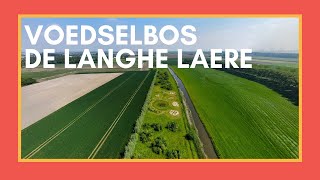 Eten uit het Bos  Voedselbos De Langhe Laere lente 2024 [upl. by Loomis]