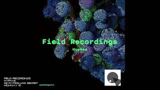 Field Recordings  Hyphae  02 Patrolling Secret Highway 15 [upl. by Annavoj]