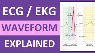 ECG Waveform Explained and Labeled  ECG Interpretation Nursing NCLEX [upl. by Esital]