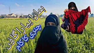 Hamara pyara sa gaon  Beautiful village  Laila’s life [upl. by Jecon]