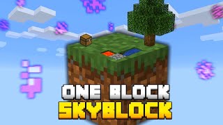 Minecraft Java sinh tồn One Block Mc Tập 3 Vào Thăm quan [upl. by Gnouhp629]