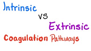 Intrinsic vs Extrinsic Coagulation pathways  Hemostasis  Bleeding and Coagulation [upl. by Siravart]