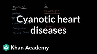 Cyanotic heart diseases  Diagnosis and treatment  NCLEXRN  Khan Academy [upl. by Lehplar]