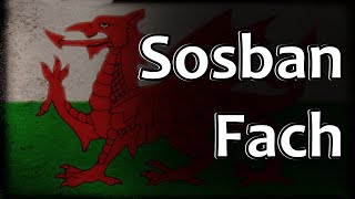 Welsh Folk Song  Sosban Fach [upl. by Stratton]