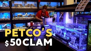 Buying a 50 Clam at PetCo [upl. by Neddra240]