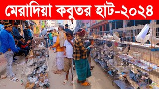 মেরাদিয়া কবুতর হাট২০২৪  kobutor hat 2024  pigeon market in bangladesh  meradiya kobutor hat [upl. by Revart293]