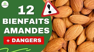 AMANDES LES BIENFAITS ET DANGERS CACHÉS POUR LA SANTÉ [upl. by Buehler626]