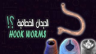 مقدمة عن الديدان الخطافية  Introduction to Hook worms [upl. by Mccartan]