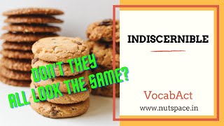 Indiscernible Meaning amp Pronunciation  English amp Hindi Vocabulary  VocabAct [upl. by Kcinimod]