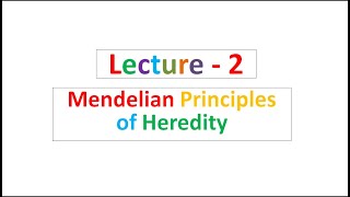 Lecture  2 Mendelian Principles of Heredity [upl. by Pelagia]