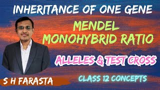 Inheritance of One geneMendel monohybrid ratioAlleles Test cross Class 12SciFlix345 [upl. by Sharla]