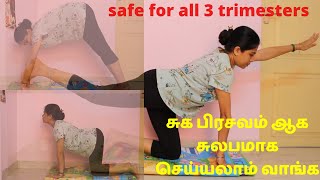 எளிய முறையில் normal delivery exercise in tamil  pregnancy exercise  exercise for normal delivery [upl. by Esbenshade354]