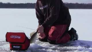 NearShore Ice Fishing Mille Lacs Lake  InDepth Outdoors TV Season 6 Episode 7 [upl. by Novhaj]