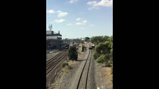 VLine Velocity Idle at Broadmeadows Station shorts [upl. by Bocoj]