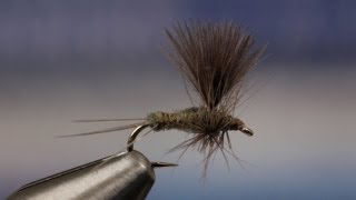 Thorax Style CDC Blue Winged Olive [upl. by Ailecra]