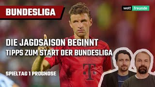 Bundesliga Tipps 202425 ⚽ 1 Spieltag Prognose [upl. by Repotsirhc]