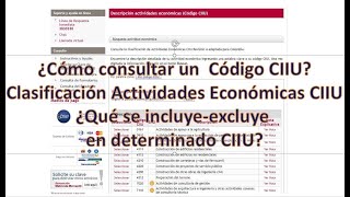 ¿Cómo consultar los códigos CIIU Actividades Económicas CIIU para RUT para Cámara [upl. by Koenraad142]