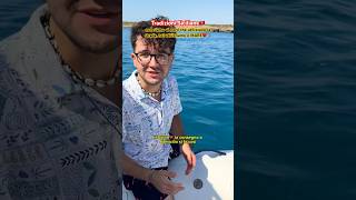 Ero ad Avola con i ragazzi di Guerino Boats che meraviglia sicilia escursione lorenzotripi [upl. by Nonohcle]