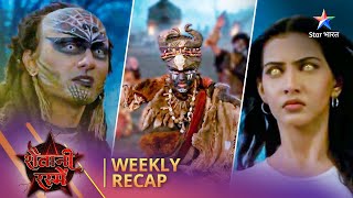 Weekly Recap  Shaitani Rasmein  Nikki ne haasil kiye Narbhakshi ke kesh [upl. by Eisned562]