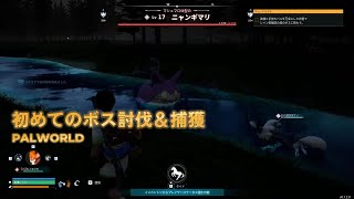 【パルワールド】初めてのボス討伐！ニャンギマリ戦【切り抜き】 [upl. by Aseiram115]