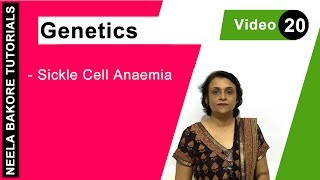 Genetics  Principles of Inheritance amp Variations  NEET  Sickle Cell Anaemia  Neela Bakore [upl. by Eive861]