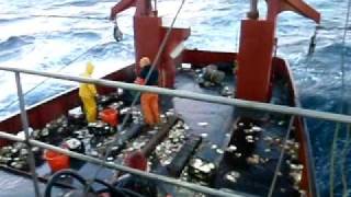 scallop fishing in febuary [upl. by Farika]