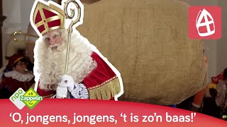 DE ZAK VAN SINTERKLAAS  Sinterklaasliedjes  NPO Zappelin [upl. by Adigun]