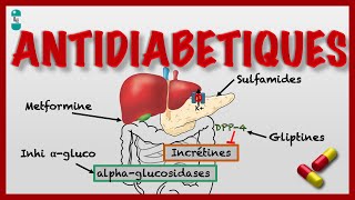 Les Antidiabétiques dans le Diabète et leur Pharmacologie [upl. by Emoryt633]